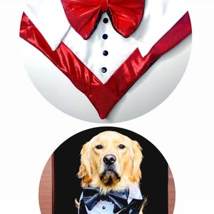 Custom Dog Tuxedo: Reversible Bow Tie Wedding Pet Outfit