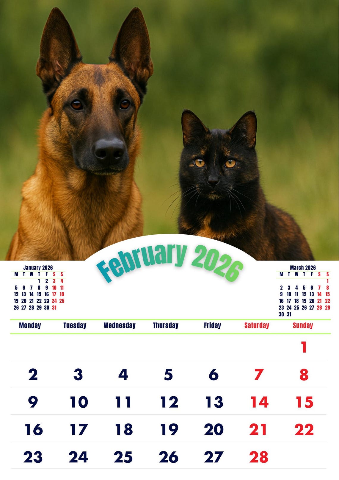 2026 Pet Calendar A3 Printable Digital Cat Dog Wall Calendar Etsy Il Sne9 