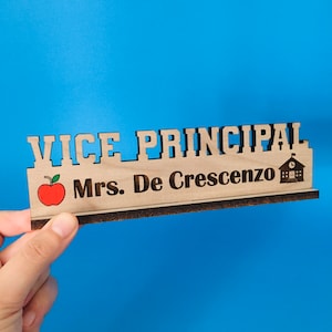 Vice Principal Name Sign Office Decor Vice Principal Desk Sign Gift for Her Principal Office Stationary Name Plate Employee Appreciation