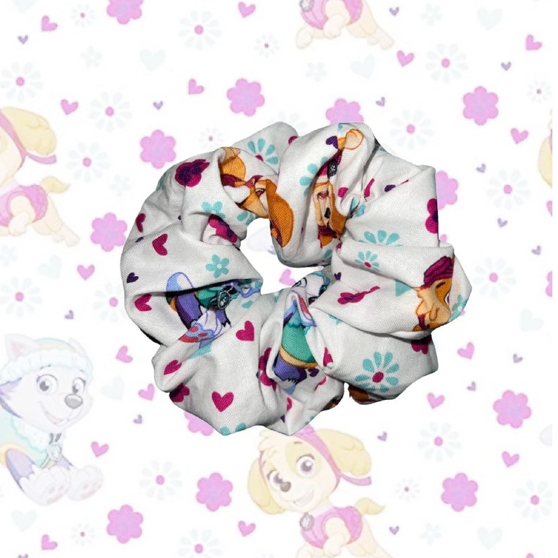 Paw Patrol Everest and Sky Ties Ponytail Holder Hair Etsy