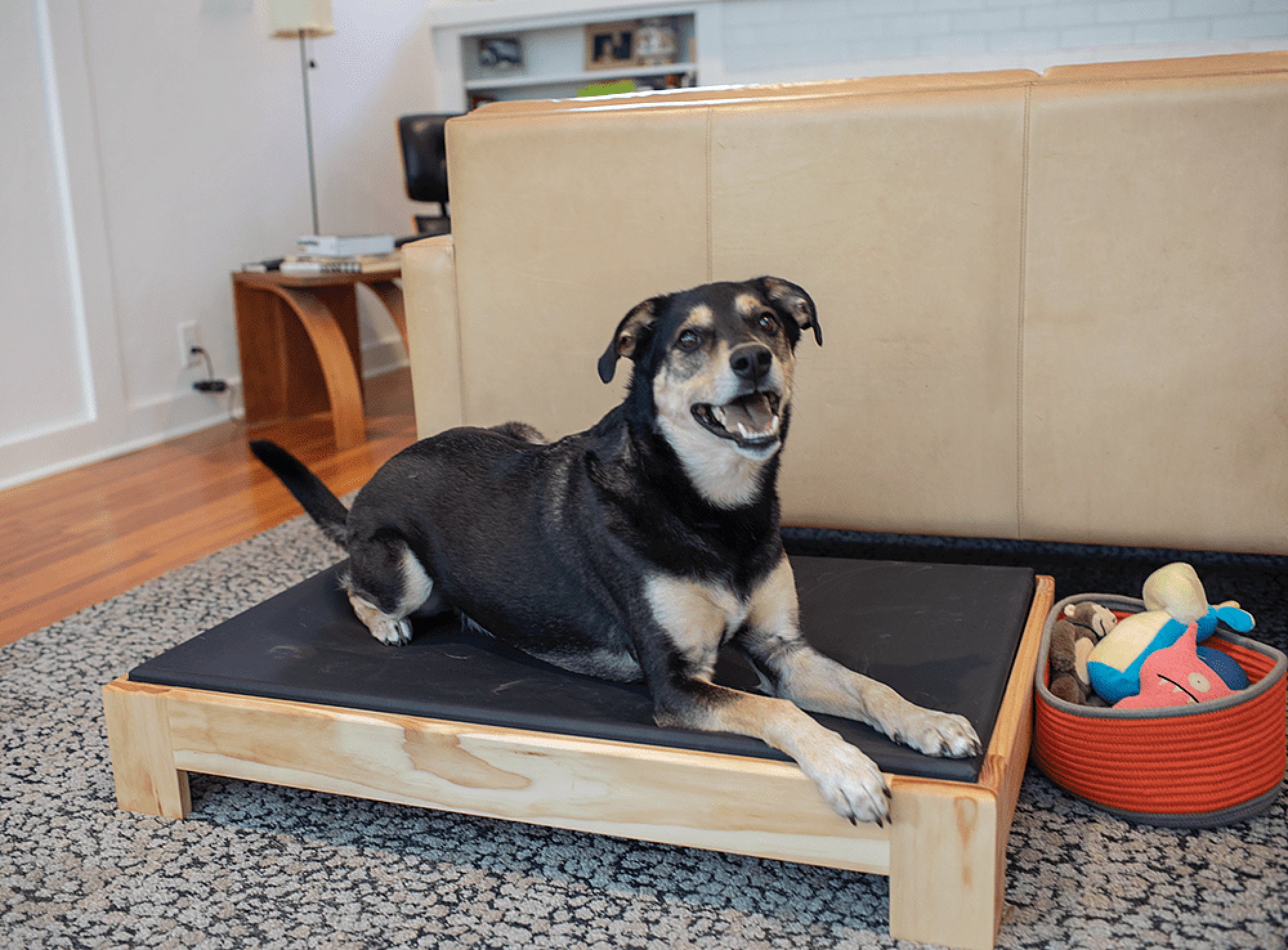 large dog bed pattern