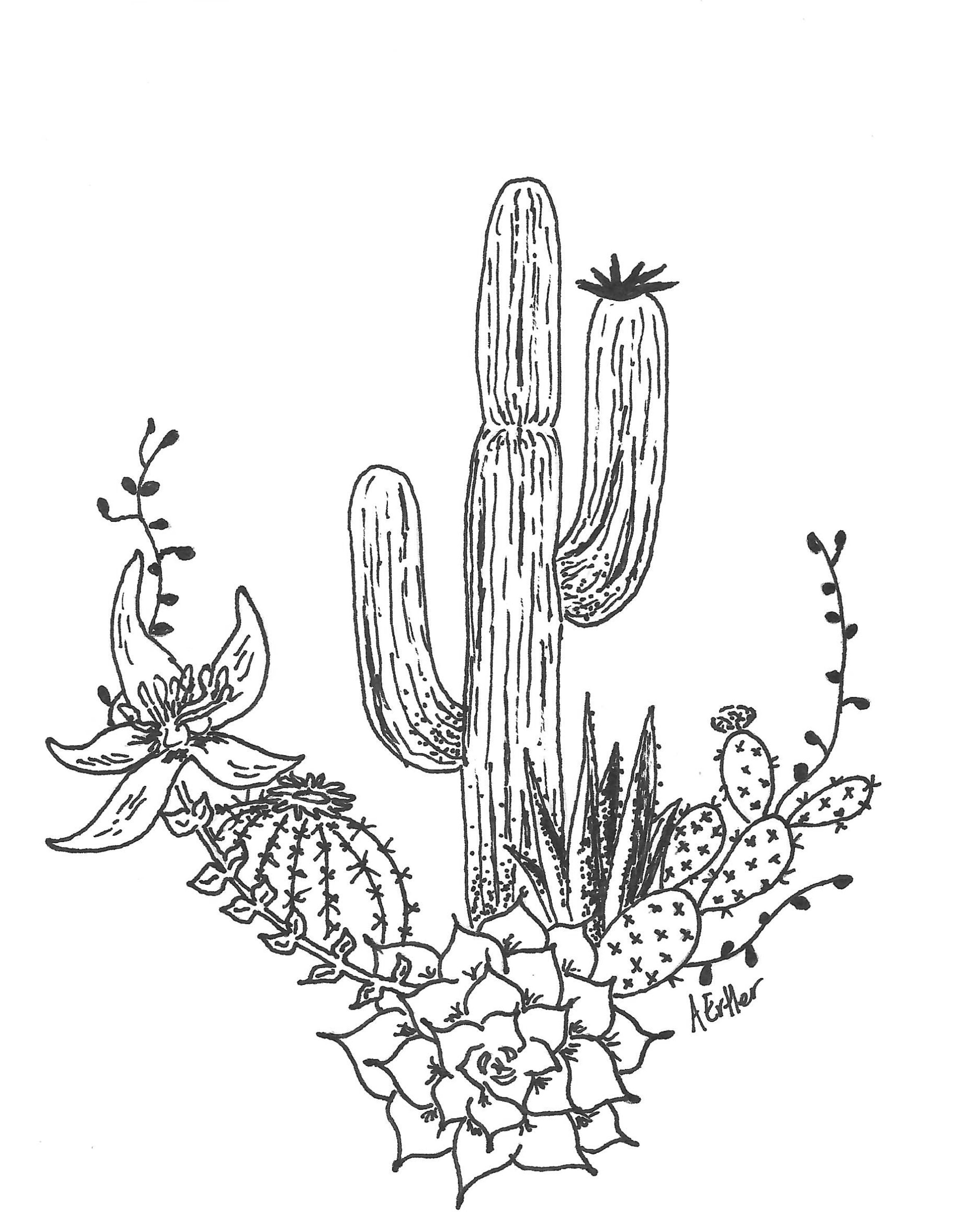 Cacti Collage Circle Art Print Wall Art Etsy