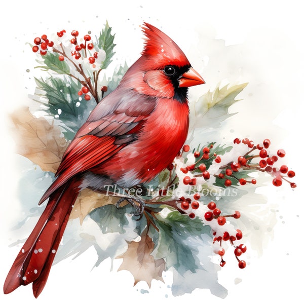 Christmas Red Cardinal Bird PNG Sublimation Design, Instant Digital Download, Bird Clip art, Commercial Use