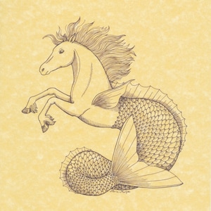 Hippocampus Art Print on Parchment 8x10