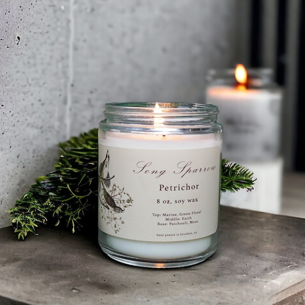 Petrichor Rain Scented Candle | 4 oz Hand Poured Soy Wax Candle | Bird Themed Candle | Song Sparrow