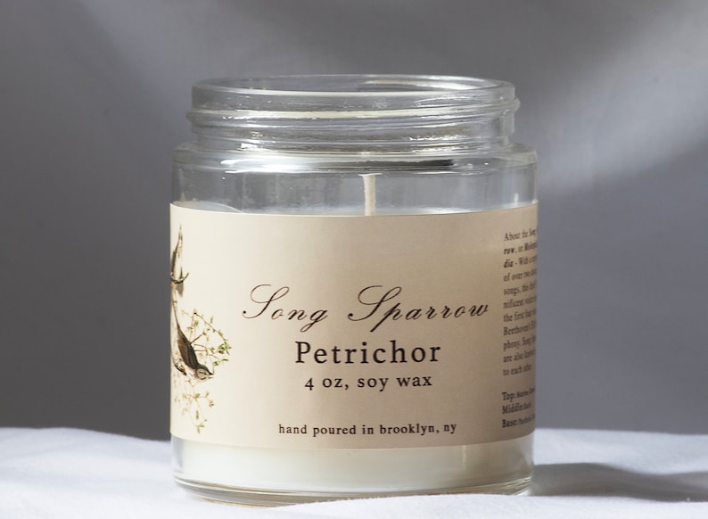 Petrichor Rain Scented Candle 4 Oz Hand Poured Soy Wax Candle Bird