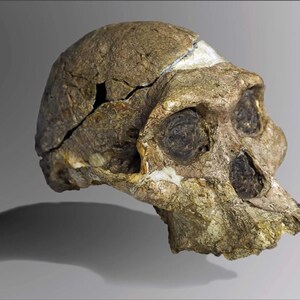 現在、この商品の在庫はありません - Etsy