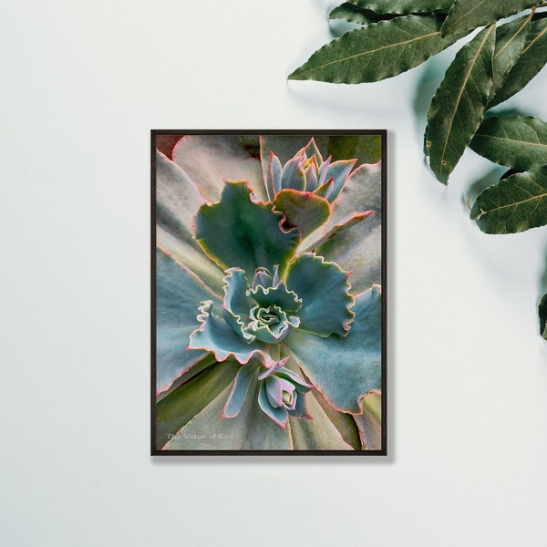 Spring Vibrant Succulent Plant–Authentic Nature Macro Photography–Unframed Canvas Vertical Print–Modern Wall Art Home Office Décor Picture