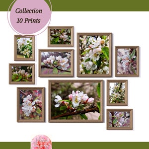 Könnte beinhalten: Eine Sammlung von 10 gerahmten Drucken mit Nahaufnahmen von weißen Apfelblüten mit rosa Akzenten. Die Drucke sind in einem Raster auf weißem Hintergrund angeordnet. Der Text "Collection 10 Prints" befindet sich in einem rosa Kreis oben im Bild. Der Text "The Virtue of God" befindet sich unten im Bild.