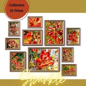 Könnte beinhalten: Eine Sammlung von 10 gerahmten Drucken mit Nahaufnahmen von roten Blumen mit Wassertropfen. Die Drucke sind in einem Rastermuster auf weißem Hintergrund angeordnet. Der Text "Collection 10 Prints" befindet sich in einem roten Kreis oben im Bild. Das Wort "Sparkle" ist in neongelben Buchstaben unten im Bild geschrieben.