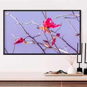 May include: A framed print of a pink flower on a branch against a light purple sky. The print is in a black frame and is hanging on a white wall.