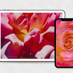 May include: A close-up image of a pink and yellow rose with the text "The Virtue of God" at the bottom of the image. The rose is displayed on a tablet and a smartphone.