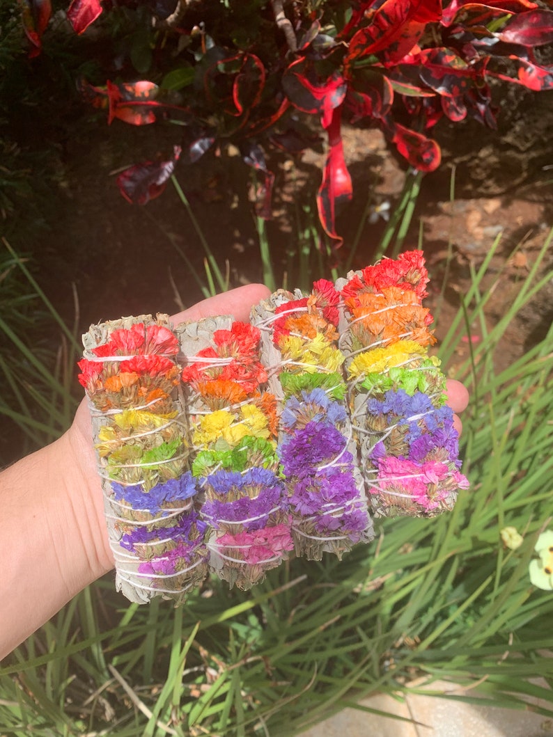 Sage, Rainbow Flower Sage, Flower Sage, White Sage, Ritual Sage