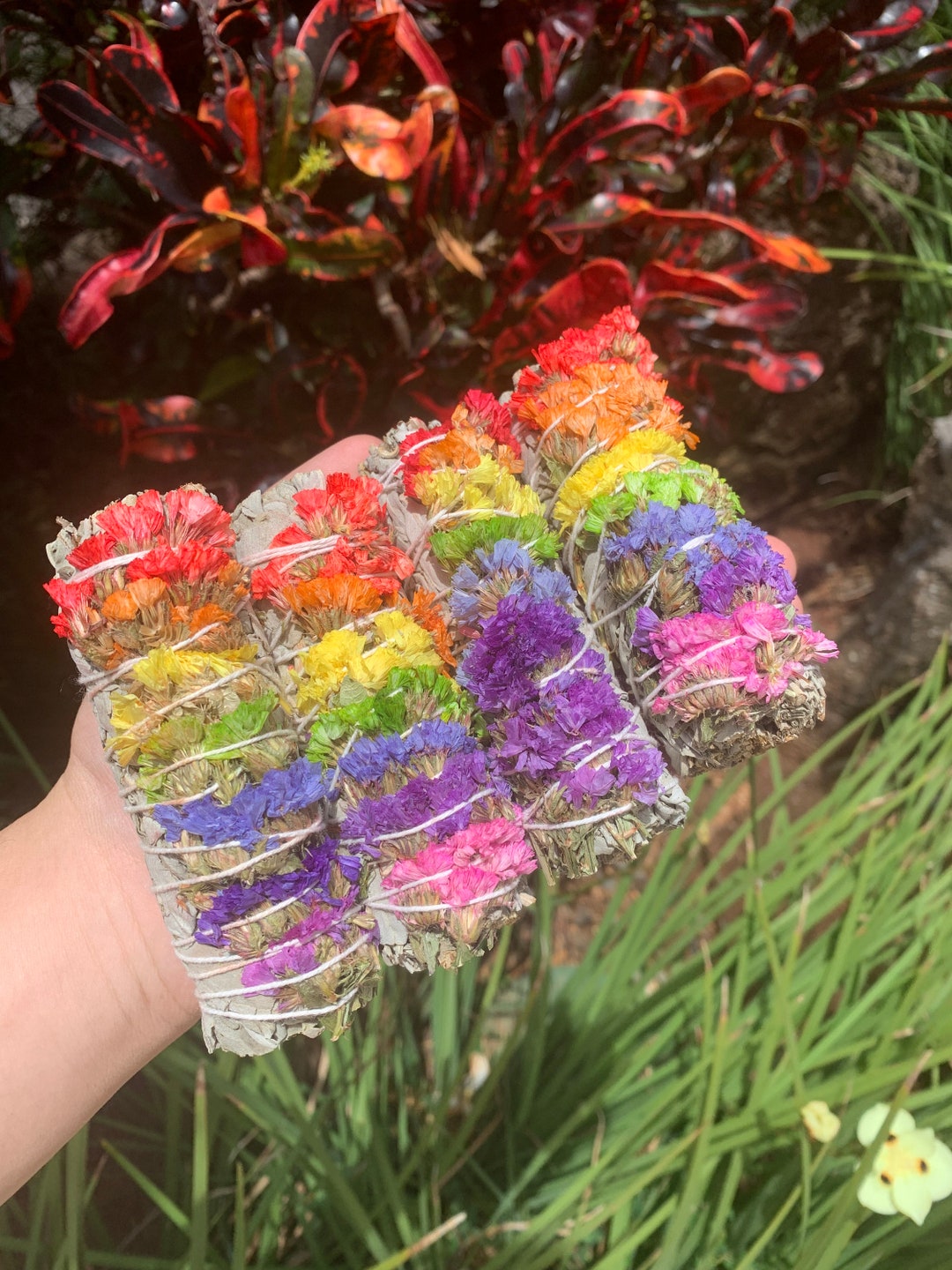 Sage, Rainbow Flower Sage, Flower Sage, White Sage, Ritual Sage