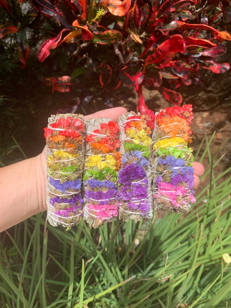 Sage, Rainbow Flower Sage, Flower Sage, White Sage, Ritual Sage