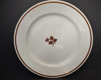 Vintage Anthony Shaw & Son Opaque Stone China Leaf Sprig Plate England [5966]