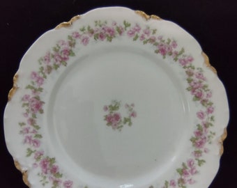 Haviland Limoges Grün Gold Pink Rose Center Speiseteller 23 cm (Lot 325)
