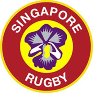 France Stade Rochelais La Rochelle Singapour Suède Suisse National Rugby Union Team Badge Fer Sur Patch Brodé image 3