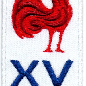 France Stade Rochelais La Rochelle Singapour Suède Suisse National Rugby Union Team Badge Fer Sur Patch Brodé image 5