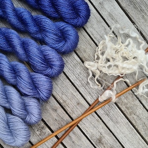 May include: A collection of five twisted skeins of yarn arranged in a gradient from deep royal blue to light periwinkle, accompanied by a small cluster of raw, curly white wool fibers and two long, slender wooden knitting needles crossed together.
