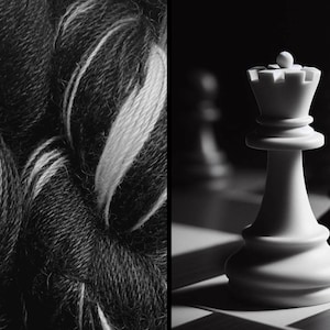 以下が含まれることがあります： チェス盤に黒と白のチェスの駒が置かれている。白いクイーンが手前にあり、黒いキングと向かい合っている。