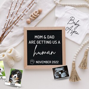 Pregnancy Announcement Dogs, cats, Furbabies, vintage, neutral, letterboard, Digital Pregnancy Announcment, Gender Reveal Ideas, Pregnacy