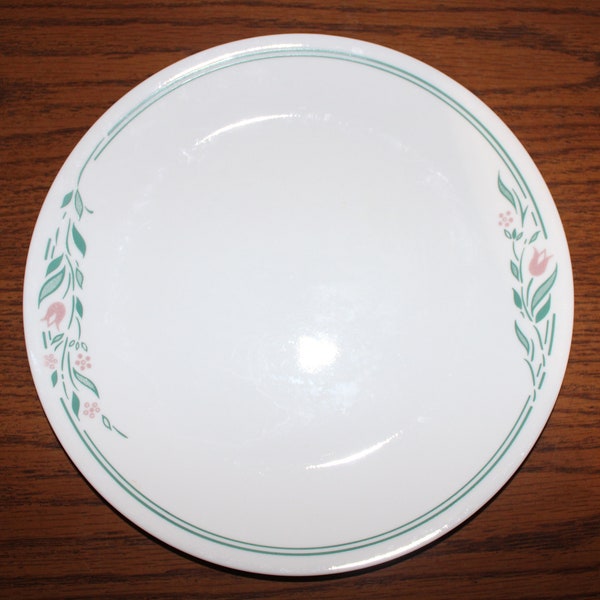 Rosemarie Corelle Dinner Plates Vintage set of 2