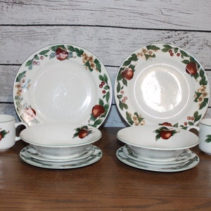 The Cades Cove Collection Apple Cherries Green Leaves 10 Piece Set 2 Dinner Plates 2 Bread and Butter Plates 2 Saucers 2 Soup Bowls 2 Cups