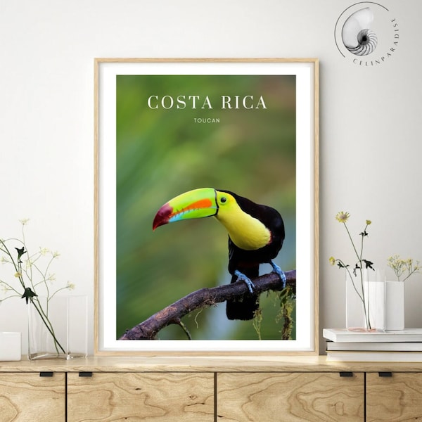 Costa Rica Toucan, Toucan Print, Toucan Costa Rica Photography, Costa Rica, Toucan jungle, Toucan Art, Jungle Wall Decor, Wild jungle print