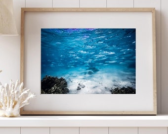 Ocean photography, underwater photo, wall art, ocean art, ocean print, underwater print, home decor, clear water photo, dive photo, green