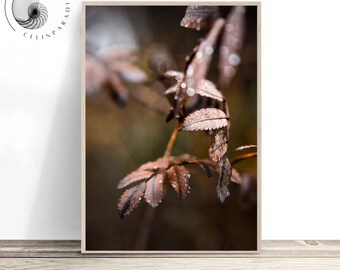 Autumn Leaves Photo Print: Rustic Fall Foliage (Digital Download)