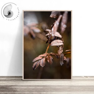Foto de otoño, Impresión de paisaje de otoño, Póster de otoño, Impresión fotográfica de otoño, Arte mural de otoño, Decoración de otoño imprimible, Póster de otoño, Follaje de otoño