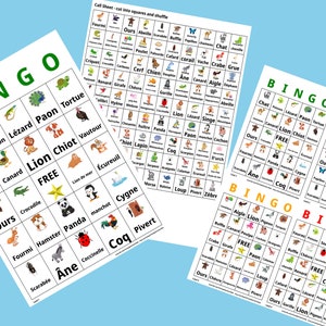 1000 Cartões de Aprendizagem de Língua Francesa Animal Bingo Français - Formato A4 e Carta dos EUA - 1 ou 4 cartões por folha