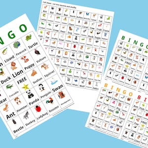 1000 carte di apprendimento della lingua inglese per il bingo animale ESL - A4 & US Letter Format - 1 o 4 carte per foglio