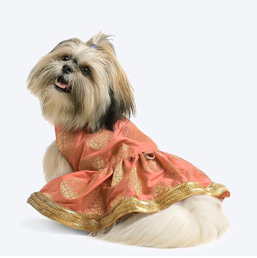 Desi Dog - Etsy Desi Dog - Etsy
