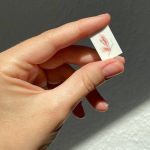 Minimalistic butterfly temporary tattoo