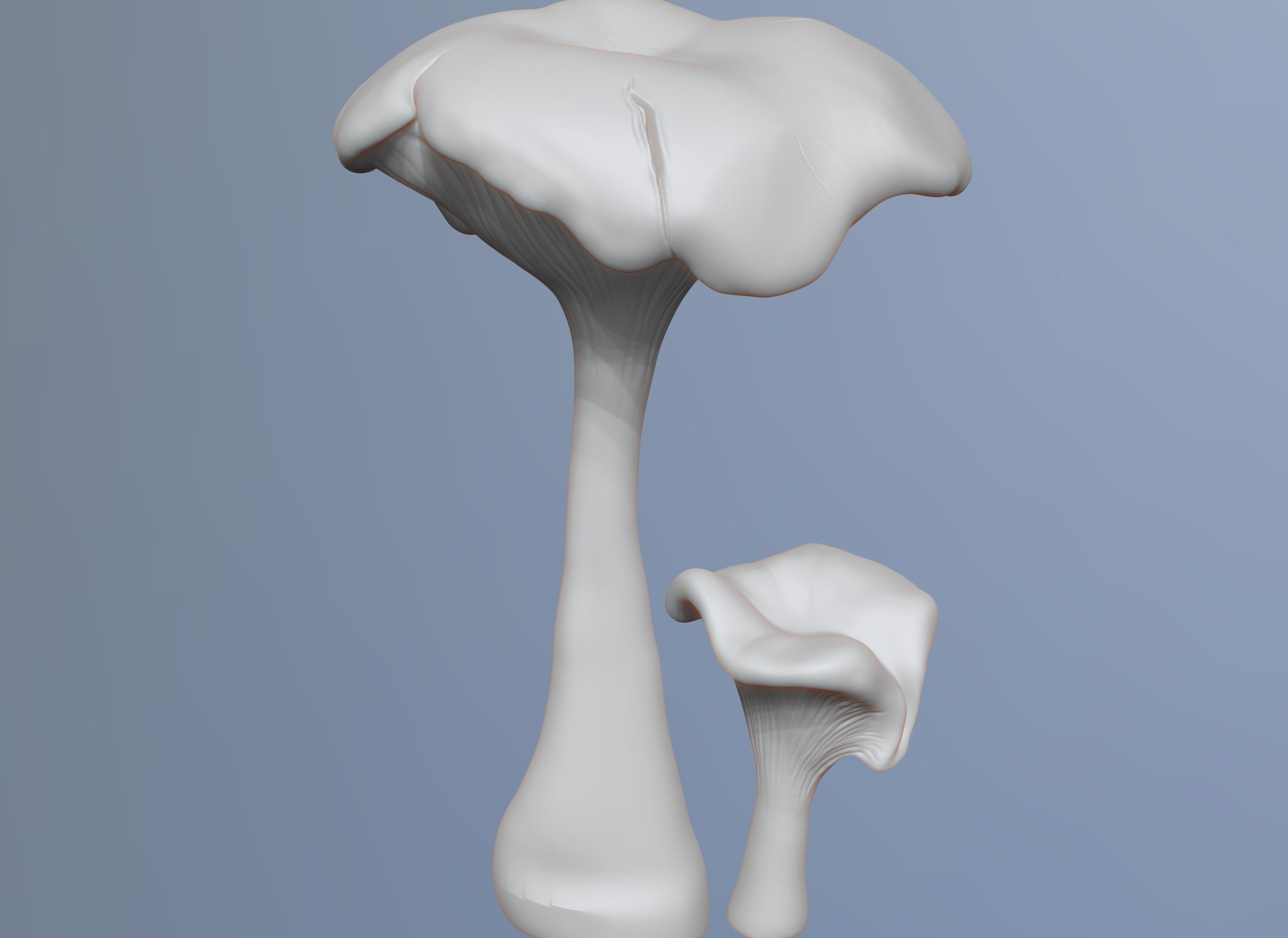 3d Print File Stl Sculpture Naturalist Chanterelle Mushrooms Etsy 3d-print-file-stl-sculpture-naturalist-chanterelle-mushrooms-etsy