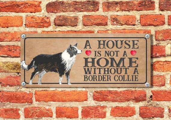 PERSONALISED  BORDER COLLIE  DOG PET Vintage  Metal Wall Sign 