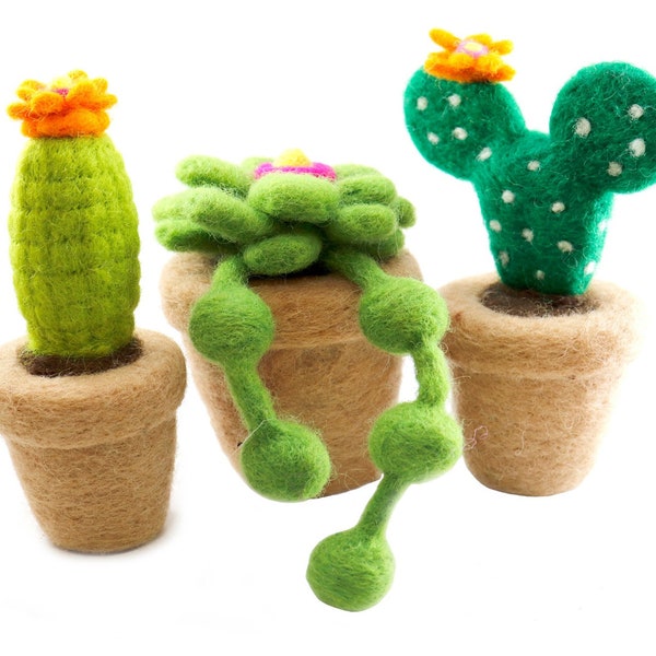 Hand felted Cactus