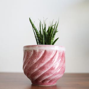 Può includere: Un vaso in ceramica rosa con un design a spirale, che contiene una pianta serpente verde.