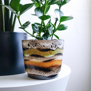 Puede incluir: Una planta verde de hojas en una maceta de cerámica marrón y blanca con un patrón ondulado. La maceta está sobre un pedestal blanco.