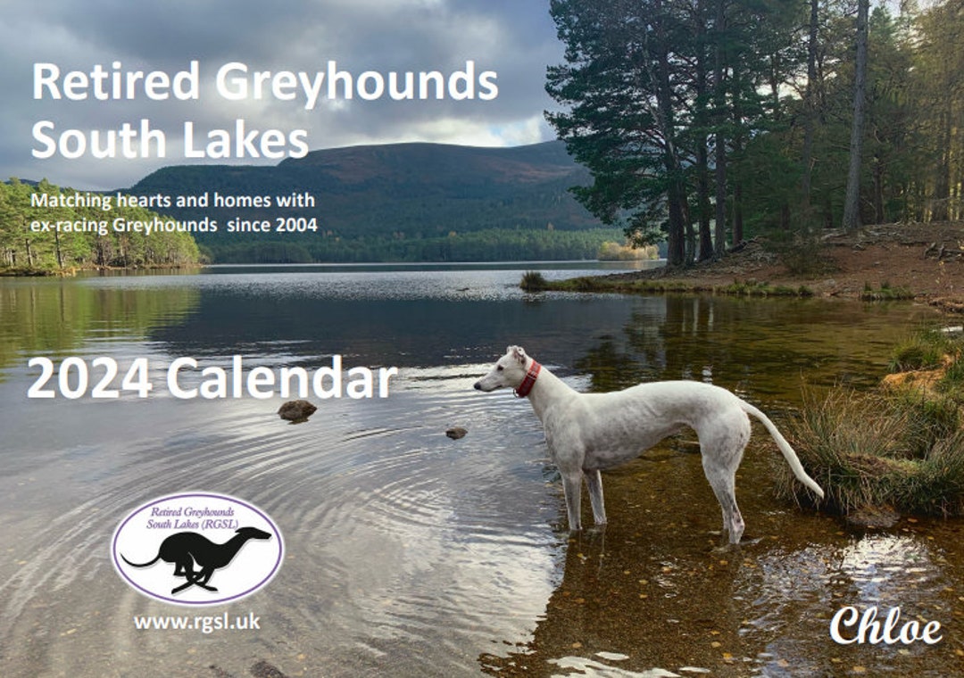 A High Quality 2024 Greyhound Calendar A4 Opening to A3 With Etsy UK