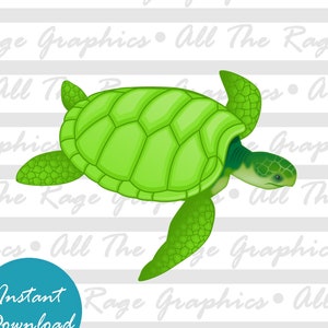 Green Sea Turtle | Instant Digital Download | png jpg svg pdf | Graphic Image | Clip Art | Clipart | Image File