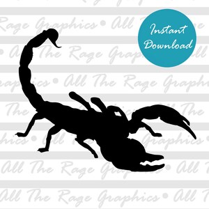 Scorpion Silhouette  | Instant Digital Download | png jpg svg pdf | Graphic Image | Clip Art | Clipart | Image File
