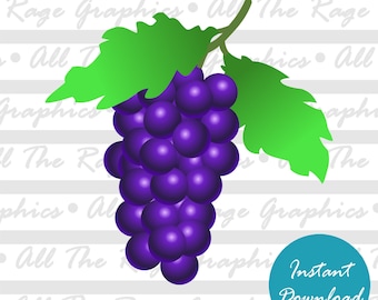 Grapes | Instant Digital Download | png jpg svg pdf | Graphic Image | Clip Art | Clipart | Image File | Vector File