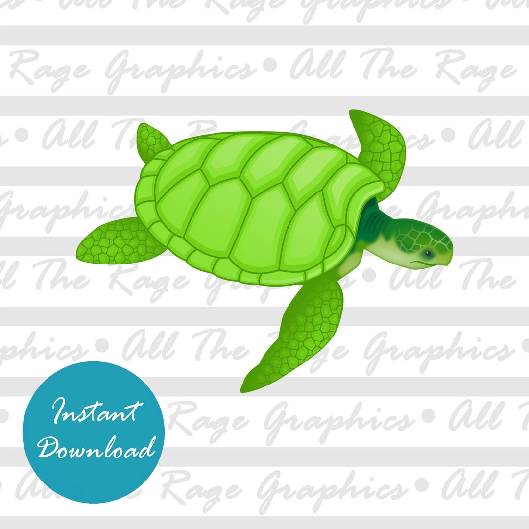 Green Sea Turtle Instant Digital Download Png Jpg Svg Pdf Graphic Image green-sea-turtle-instant-digital-download-png-jpg-svg-pdf-graphic-image