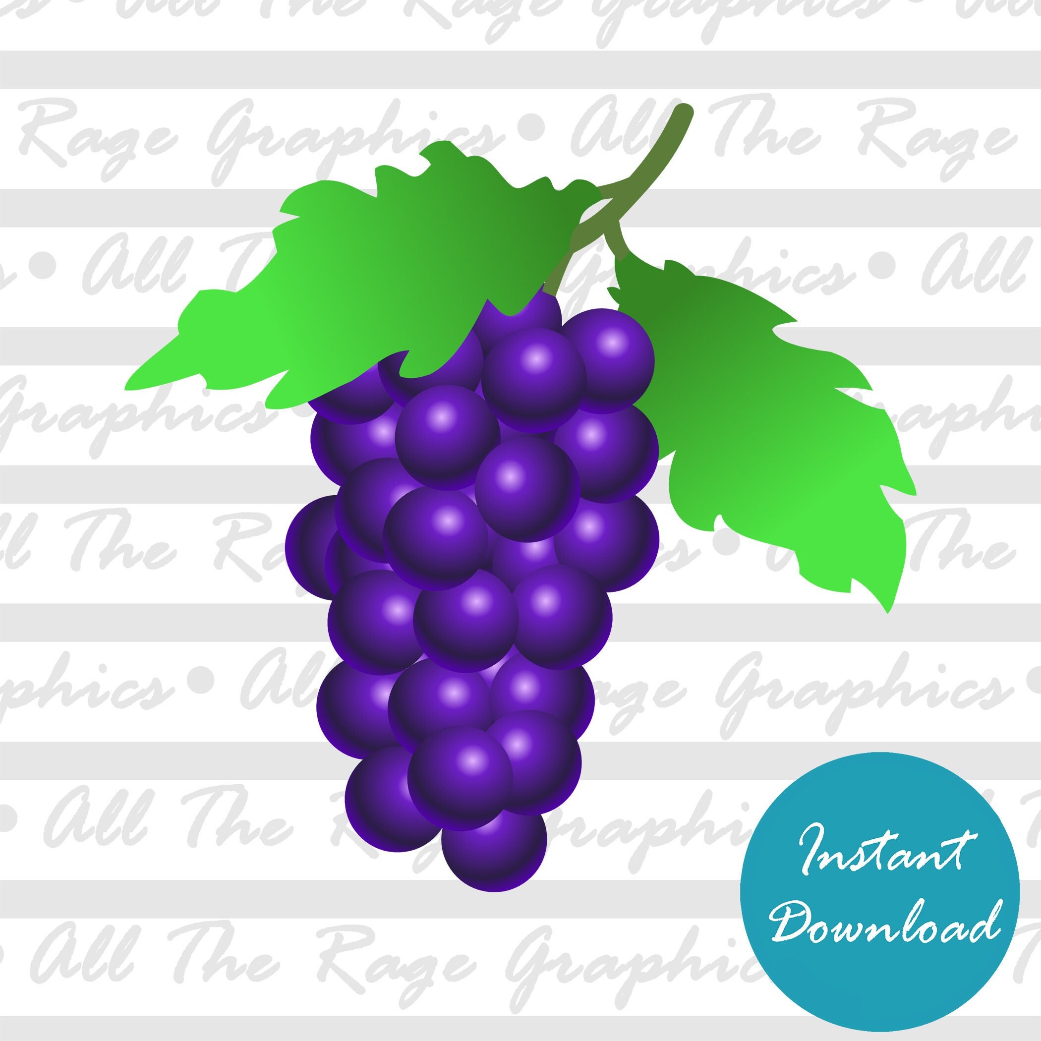 Grapes | Instant Digital Download | Png Jpg Svg Pdf | Graphic Image ...