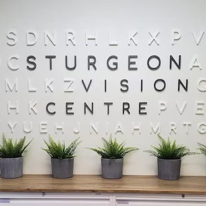 Letras personalizadas para letreros de pared. Cualquier fuente, tamaño o color. ¡Impresionantes letras para letreros de pared de oficinas, salas de reuniones y más!