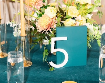 Totally Custom Wedding Sign Letters 1/3in Thick. Any Font, Size Or Color. Perfect Wedding Letters For Ceremonies, Receptions, Parties & More
