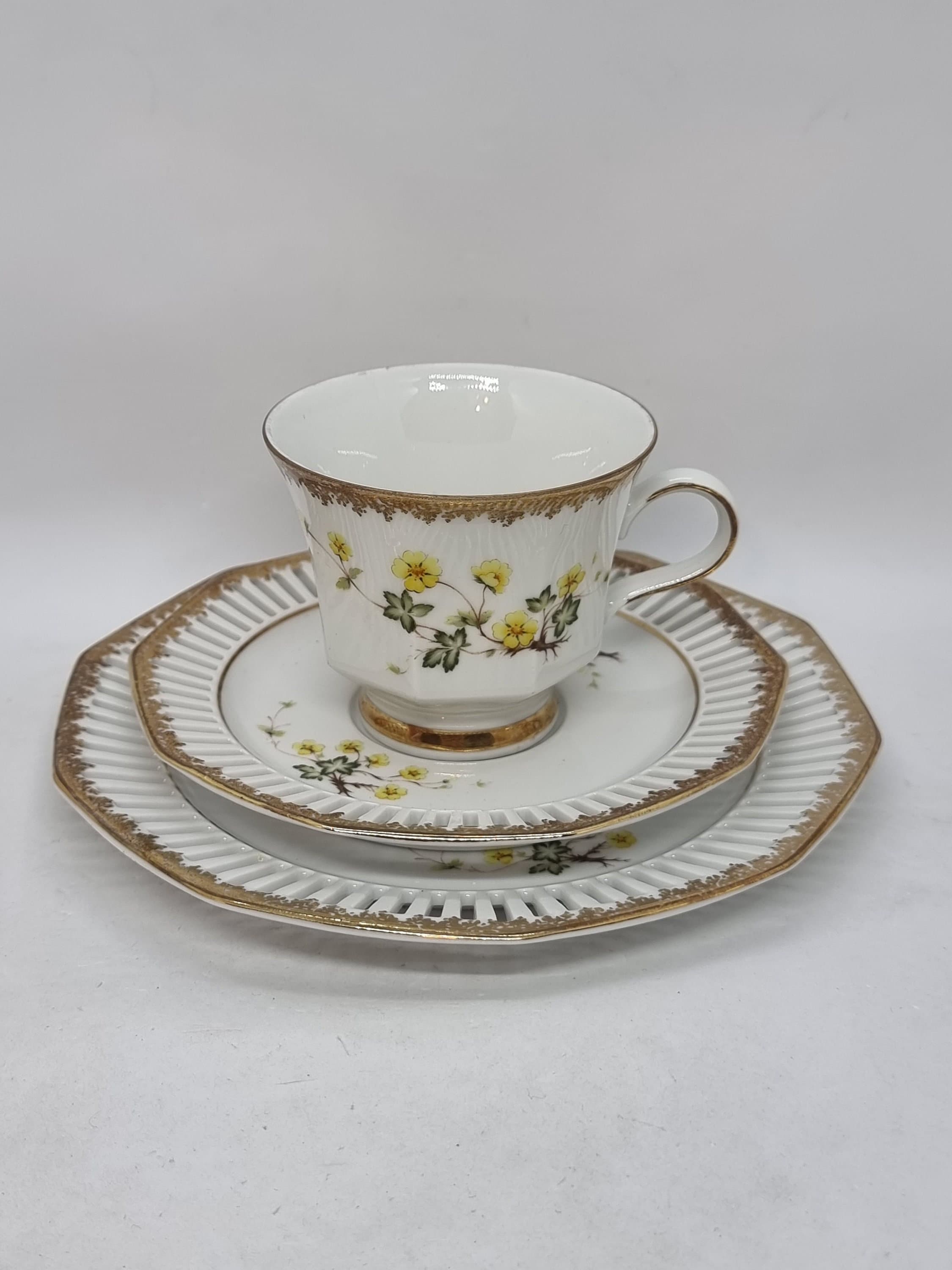 Vintage Svaneholm 1530 Flora Alpina Porcelain Cup and Saucers Nr.5